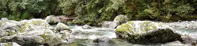 Upper Goodell Group Campground