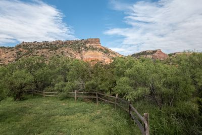 USA - Texas - Palo Duro Canyon State Park - 52980027104