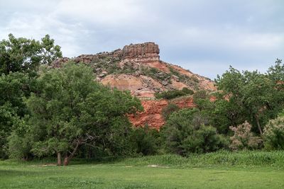 USA - Texas - Palo Duro Canyon State Park - 53030412646