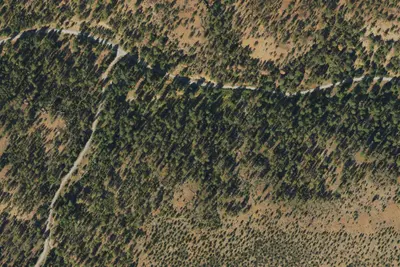 Buck Spring Campground