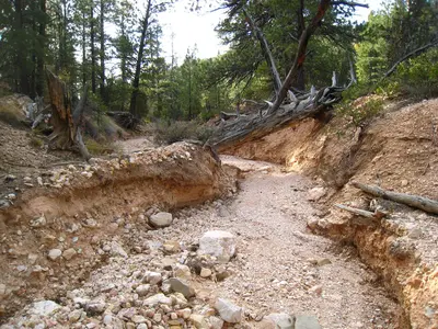 Lower Podunk Creek (2968795043)