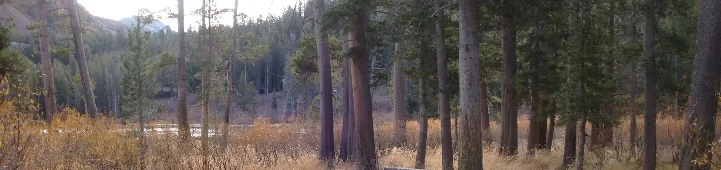 Twin Lakes CG