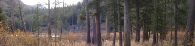 Twin Lakes CG