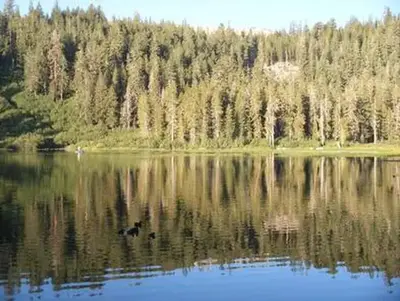 Twin Lakes Campground