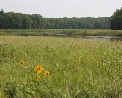 PetagaPoint