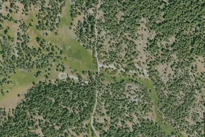 Martins Dairy Campground