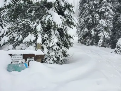 Welcome to Camp Misery (52517806060)