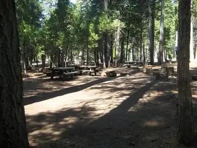 South fork group (ca)