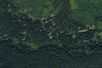 Camp site