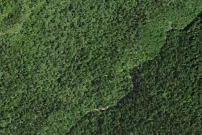 Camp site (NYSDEC)