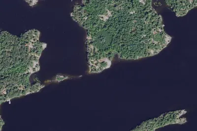Loon Cove