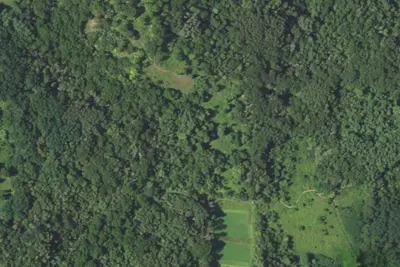 Camp site