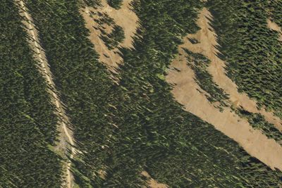Wináha’ay Spring Camp