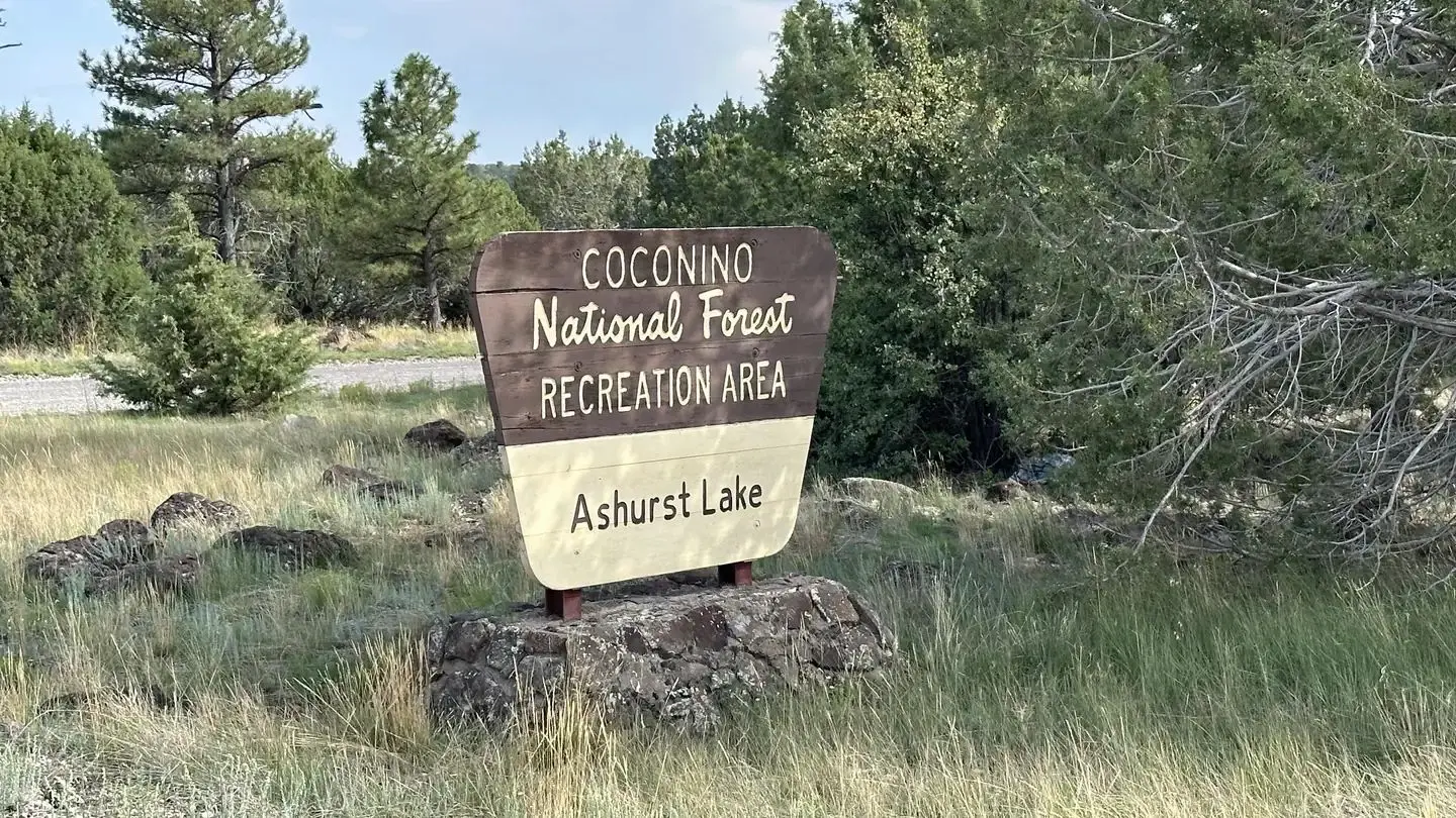 Ashurst Lake sign