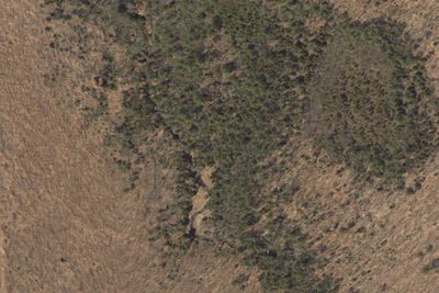 Camp site