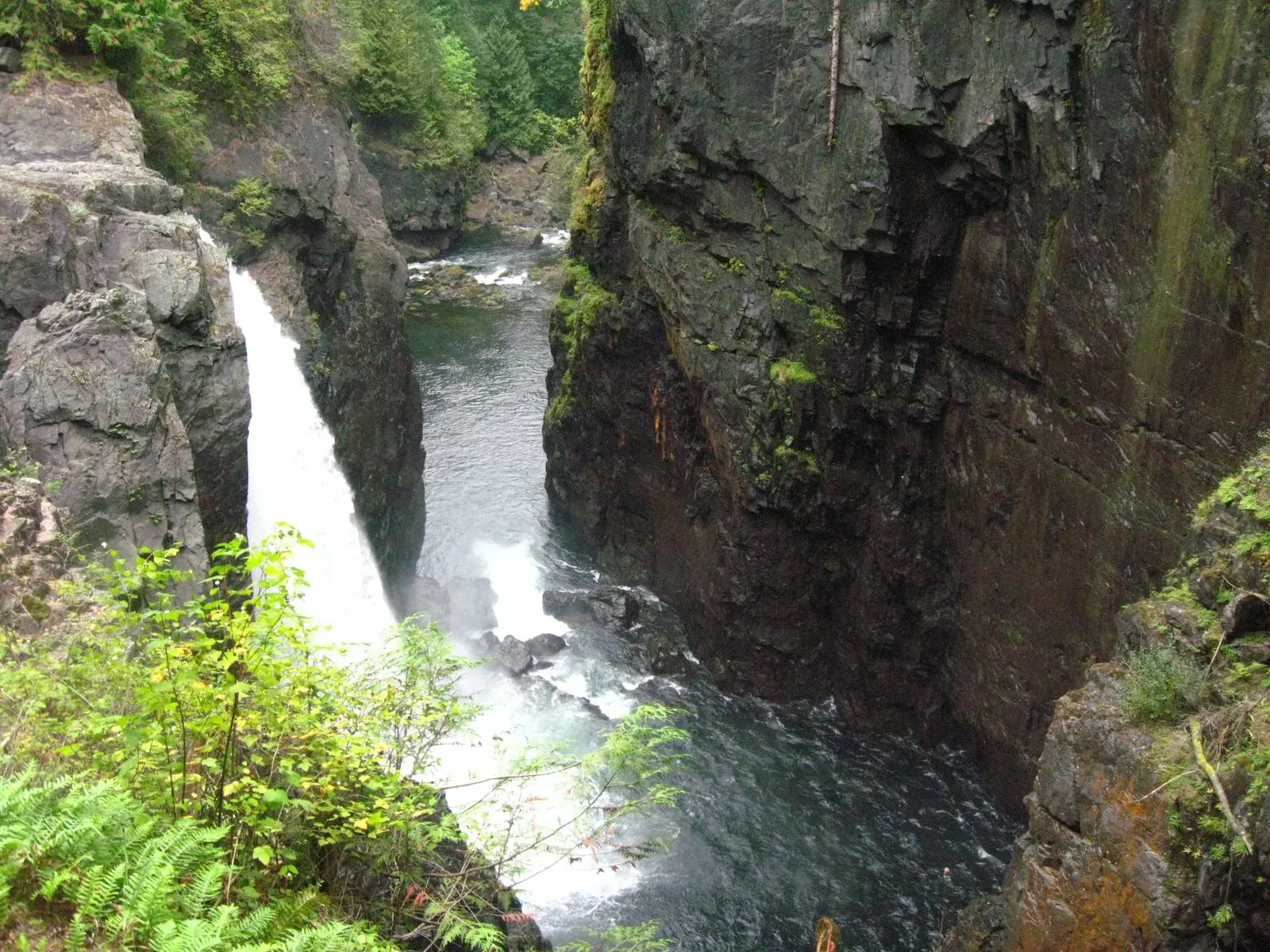 Photo of Elk Falls Park