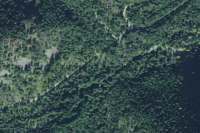 Rd 152 Site 7