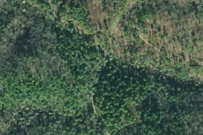 Camp site