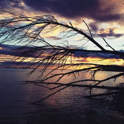 Presqu'ile Provincial Park