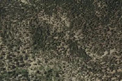 Jackstraw Campground