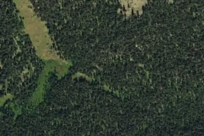 Camp site