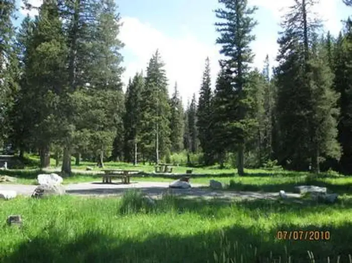 Langohr Campground - campsite surrounded by pine trees, picnic table & fire ring