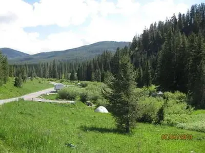 LANGOHR CAMPGROUND - campground road with pine trees & camper