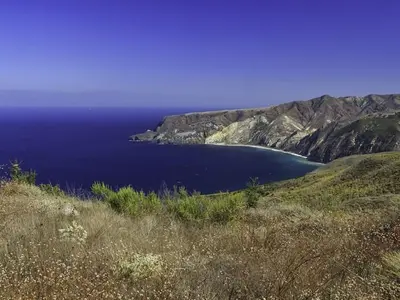 a deep blue ocean with rugged coastal bluffs in the background and grasses and shrubs in the foreground