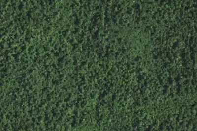 Camp site (NYSDEC)