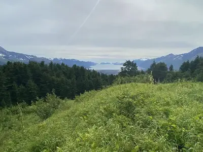 Resurrection Bay