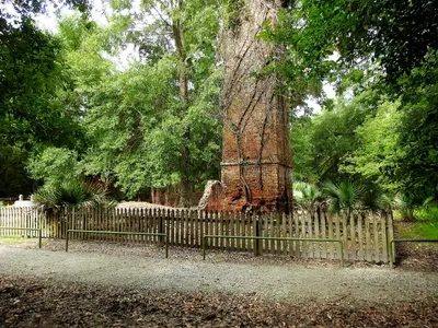 Fontainebleau State Park, Louisiana 2019 05