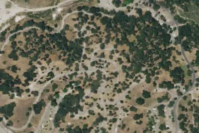 Conejo