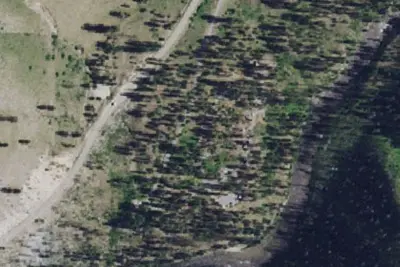 Pine Flats Campground
