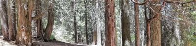 Holey Meadow Campground