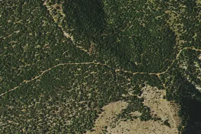 Camp site