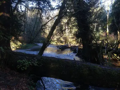 Salmon River Oregon - panoramio