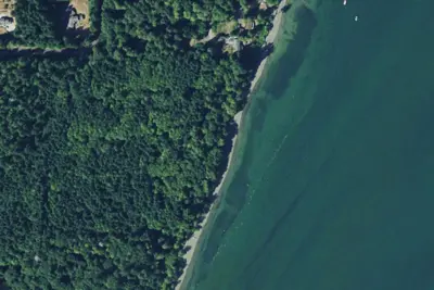 Cascadia Marine Trail Campsite - Maple Hollow
