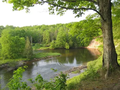 Manistee River Trail - panoramio