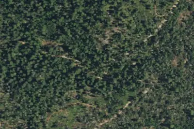 Lone Seqouia Campground