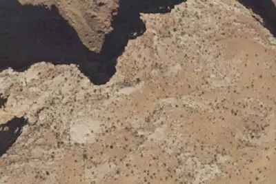 Designated Campsite