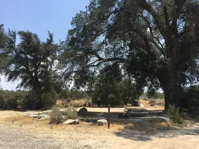 McCain Valley campgrounds (49777059993)