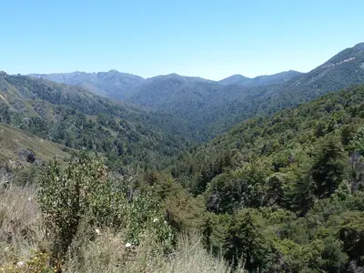Ventana wilderness