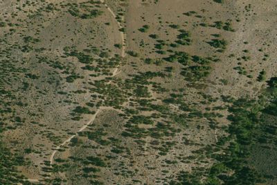 Camp site