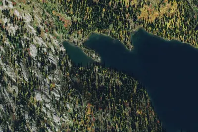 Birch_lake_015