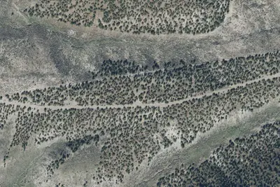 Camp site