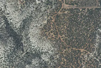 Camp site