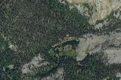 Camp site