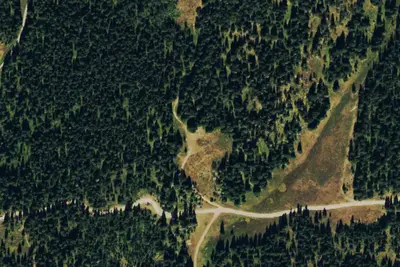 Camp site