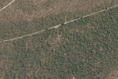 023 Paddy Mountain Road