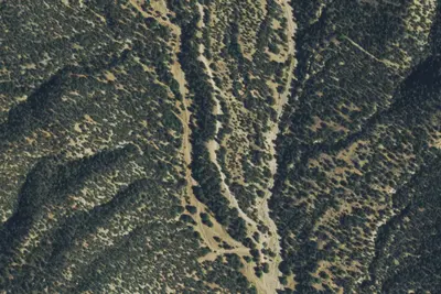 Camp site